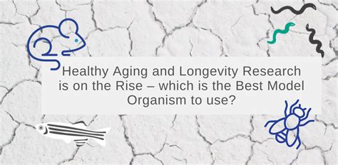 Aging Model 的图像结果