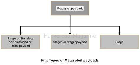 Image result for Metasploit Payloads