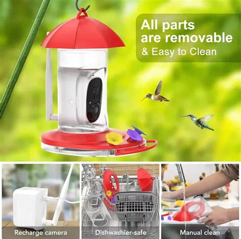 Hummingbird SMART Feeder with AI Camera - 1080P Wireless Watching