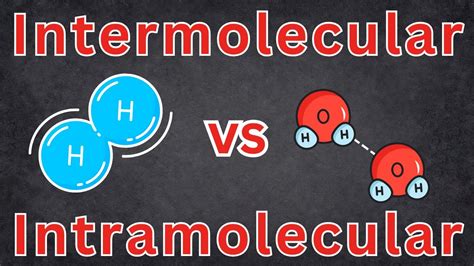 Image result for Intramolecular Forces Explained