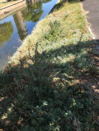 Communitree - St Georges Liesbeek Patch - Site #103