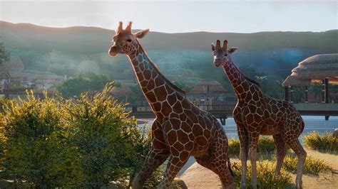 Planet Zoo: Release date, animal list, and everything else we know | PC Gamer