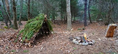 Image result for Different Types of Survival Shelters