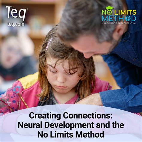 Image result for Neural Development