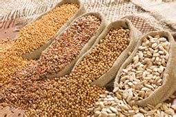 Peanuts Manufacturer And Exporter In India | Peanuts Oil Manufacturer ...