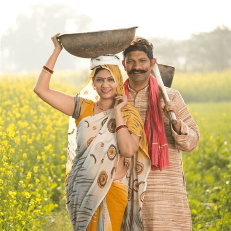 Strangler Fig Tree: The Fascinating Life Cycle and Unique Ecosystem Ro ...