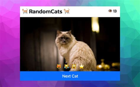 JS API Do Random Cat Image Search 的图像结果