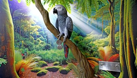 Understanding cat tail movements: a guide to feline communication – The ...