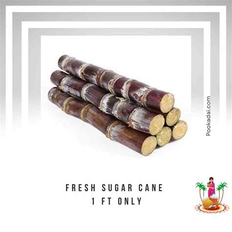 Fresh Sugarcane Sticks | Perfect for Pooja, Festivals & Juicing ...