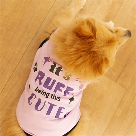 It's Ruff Being This Cute Dog T-shirt – Pet Set Go