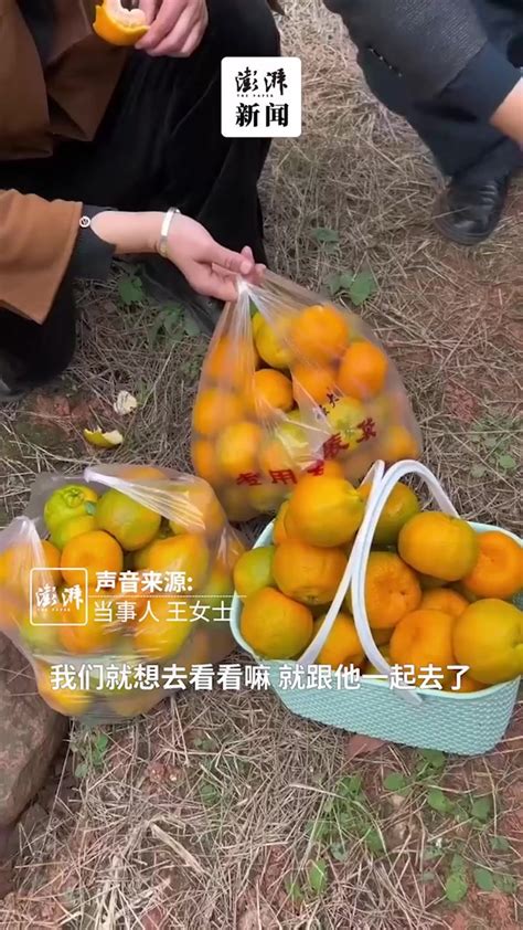 遇大爷在路边卖橘子，女子称全买下后发现其住小洋楼_凤凰网视频_凤凰网