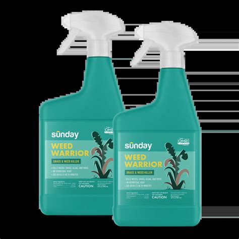 Top 10 Organic Weed Killers: The Eco-Friendly Gardener's Arsenal