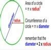 What is the area of circumference - Brainly.in