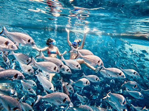 Aquaculture 的图像结果