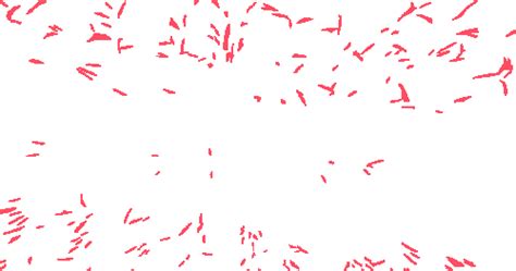 Paddy Rice Imagery - Dataset Ninja