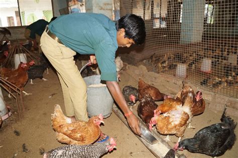 Krishi Vigyan Kendra, Ranchi