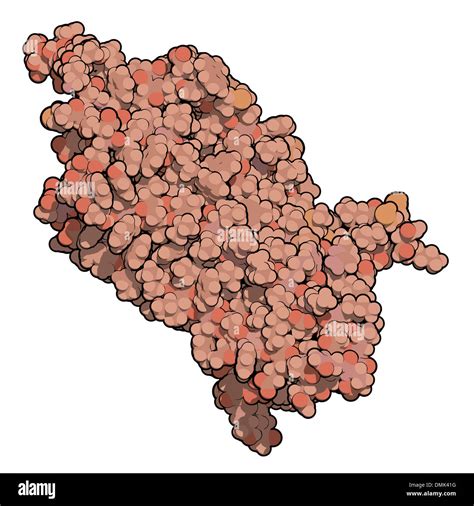 rhodopsin (visual purple) light perception protein, chemical structure ...