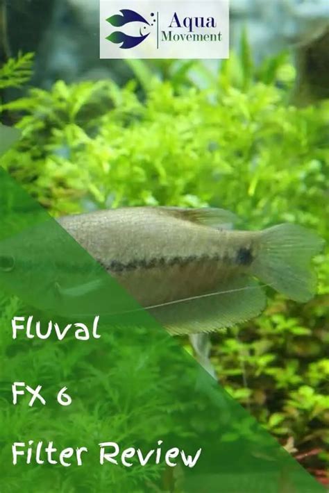 Fluval FX6 Review 的图像结果