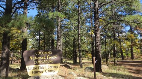 LITTLE ELDEN SPRINGS HORSE CAMP (Flagstaff) - Campground Reviews ...