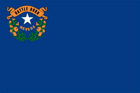 State Flag - Nevada - The Flag Factory