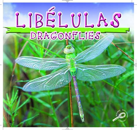 Libelulas: Dragonflies (Biblioteca Del Descubrimiento De Los Insectos ...