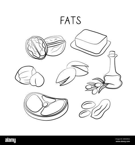 Fats-containing food. Groups of healthy products containing vitamins ...