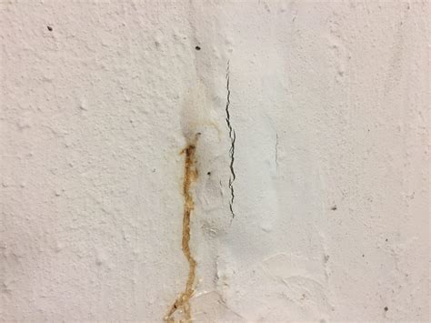 How To Fix Basement Wall Leak at Cecil Messer blog
