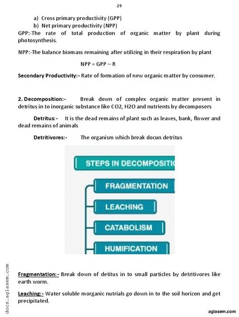 Botany Vidio 12 的图像结果