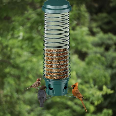 Squirrel Proof Bird Feeders with Weight Activated Rotating Perch for ...