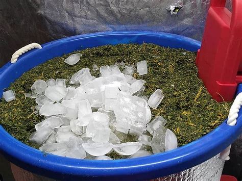 Image result for Bubble Hash Machine