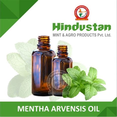Manufacturer Exporter of Menthol & Mint Allied Products India USA