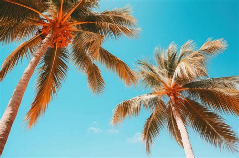 Travel Clear Background 的图像结果