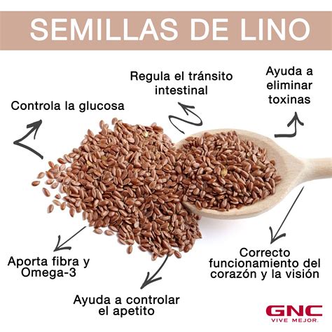 ¿Conoces los beneficios de las semillas de Lino? Incluirlas en la alimentación es clave para ...