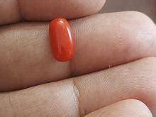 Red Coral stone | Moonga stone | Italian | 3.25 Carat