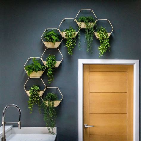 Indoor Wall Planters Hanging Wall Planter Hexagon Modules | Etsy ...