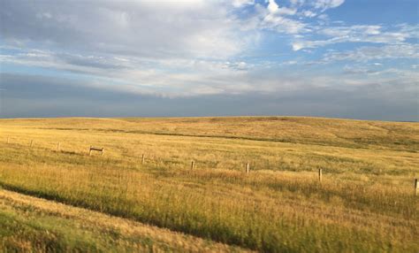 Climate Of The Grasslands