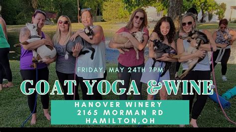 Goat Yoga and Wine at Hanover Winery , Hanover Winery, Hamilton, 24 May ...