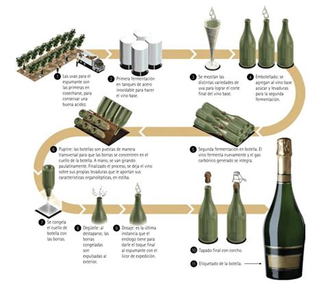 Las 3 Diferencias Fundamentales entre Champagne y Cava | ENBOTELLA