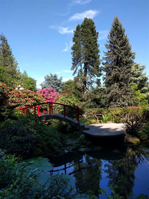 Beautiful Kubota Garden : r/Seattle
