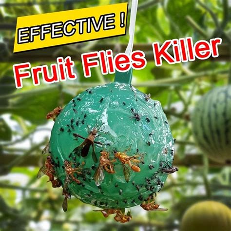 Repeatable Fly Trap Ball – UOnlyLife