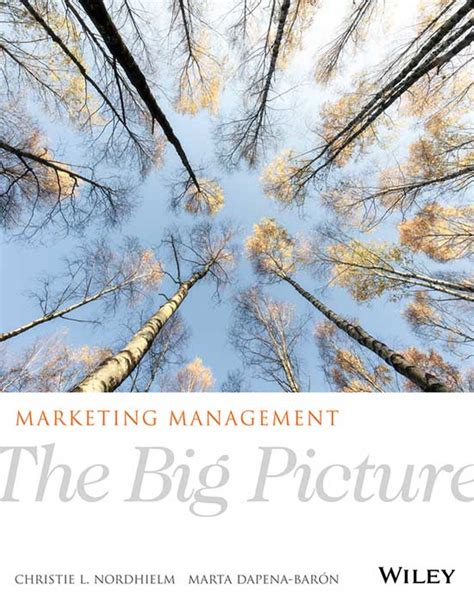 Marketing The Big Picture 的图像结果
