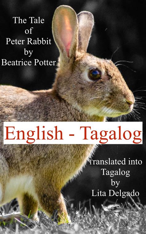 The Tale of Peter Rabbit (Translated): In English and Tagalog (Kid's ...