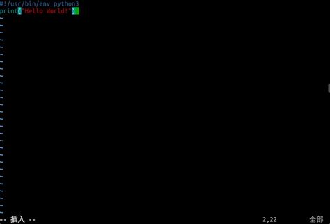 Exit Editing APY File in Shell 的图像结果