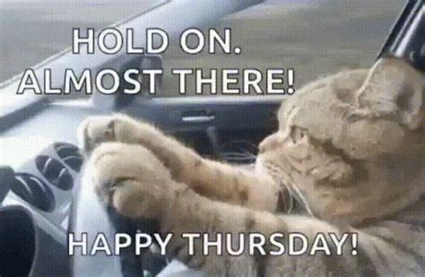 Happy Thursday Funny GIFs | GIFDB.com