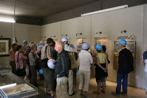 PREMIER DIAMOND TOURS (2025) All You Need to Know BEFORE You Go (with ...