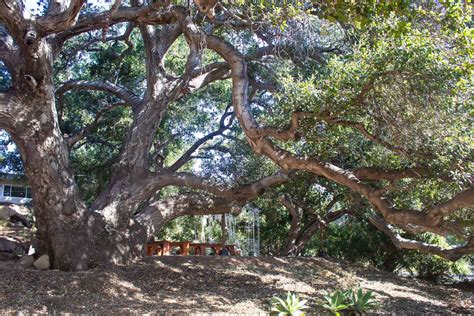 Kindred Spirits Care Farm Venue Rental in Los Angeles, CA | Reviews ...