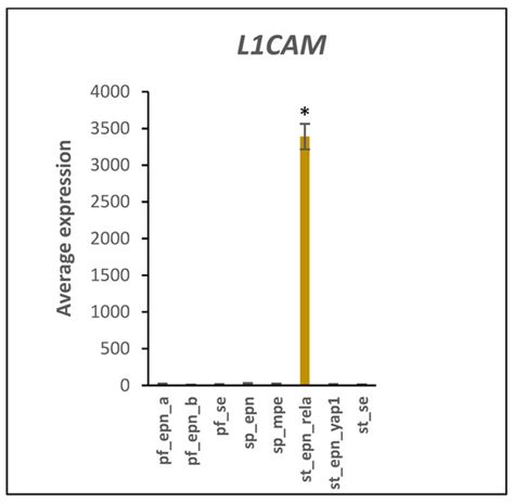 Ubiquitin Proteasome Gene Signatures in Ependymoma Molecular Subtypes
