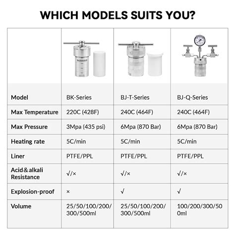 Buy BAOSHISHAN 25ml Hydrothermal Autoclave Reactor, 304 Stainless Steel ...