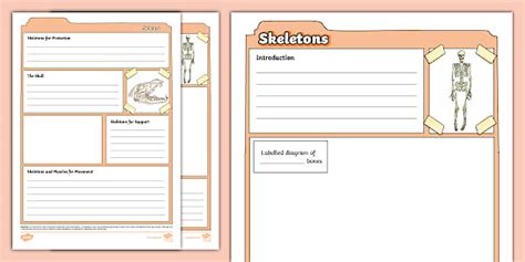 Skeleton Non-Chronological Report Template
