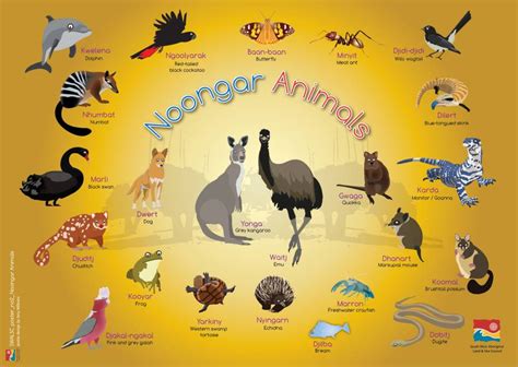 Discover the Enchanting World of Australian Animals: Unveiling Their Aboriginal Lore